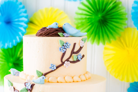 Gourmet Spring two layer cake with blue birds and spring flowers.