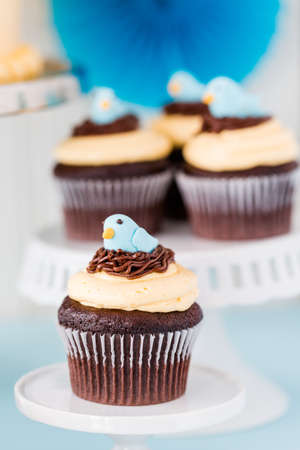 Gourmet Spring cupcakes with blue bird decoration.の写真素材