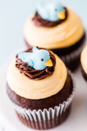 Gourmet Spring cupcakes with blue bird decoration.の写真素材