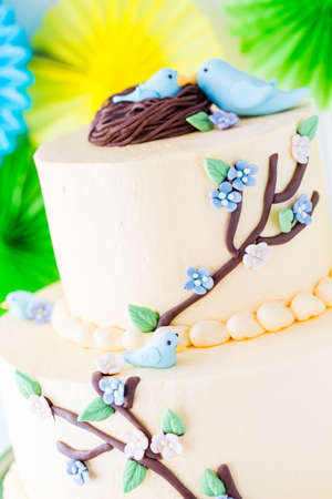Gourmet Spring two layer cake with blue birds and spring flowers.の写真素材