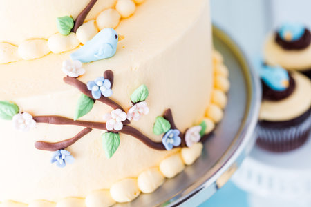 Gourmet Spring two layer cake with blue birds and spring flowers.