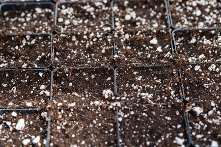 Small planting pots filles with soil and ready for planting.