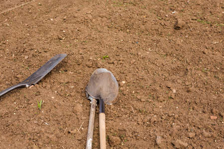 Community garden prepared for planting in early Spring in urban area.の写真素材