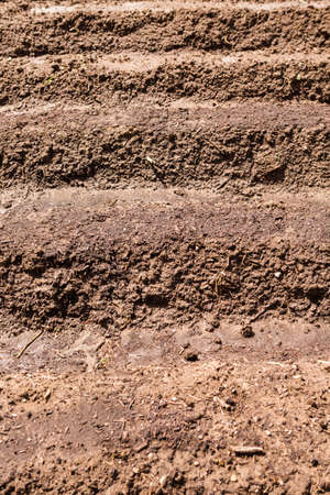 Community garden prepared for planting in early Spring in urban area.の写真素材