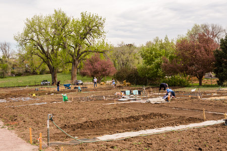 Littleton, Colorado/ USA-May 4, 2014. Community garden prepared for planting in early Spring in urban area.のeditorial素材
