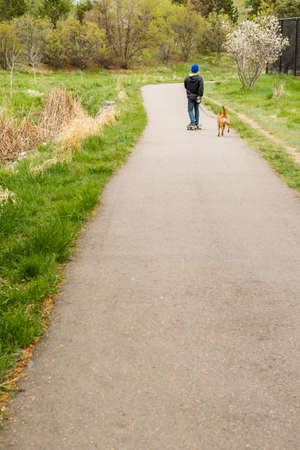 Typical bike trail with paved path in suburbia.の写真素材