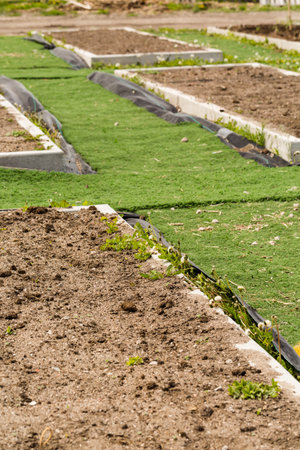 Early planting season at the local community garden.