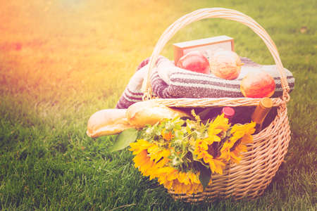 Summer picnic with a basket of food in the park.の写真素材