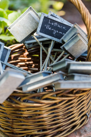 Garden tags in the basket ready to mark plants.の写真素材