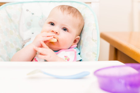Little girl eating baby food in high chair.の写真素材