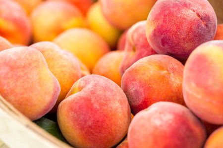 Organic fresh produce at the local farmers market.の写真素材