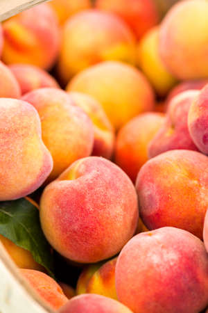 Organic fresh produce at the local farmers market.の写真素材