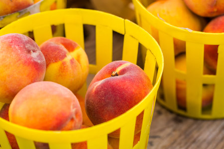Organic fresh produce at the local farmers market.
