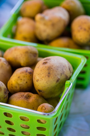 Organic fresh produce at the local farmers market.の写真素材