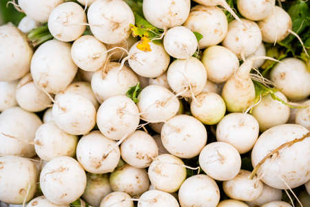 Fresh organic produce on sale at the local farmers market.の写真素材