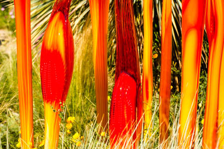 Denver, Colorado, USA-August 12, 2014. Large glass sculptures by Dale Chihuly in the garden.のeditorial素材