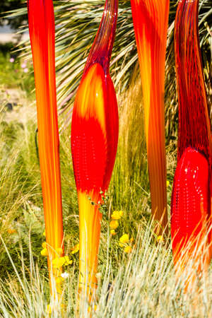 Denver, Colorado, USA-August 12, 2014. Large glass sculptures by Dale Chihuly in the garden.のeditorial素材
