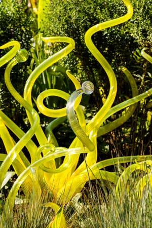 Denver, Colorado, USA-August 12, 2014. Large glass sculptures by Dale Chihuly in the garden.のeditorial素材