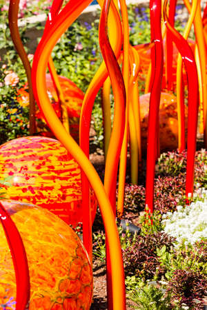 Denver, Colorado, USA-August 12, 2014. Large glass sculptures by Dale Chihuly in the garden.のeditorial素材