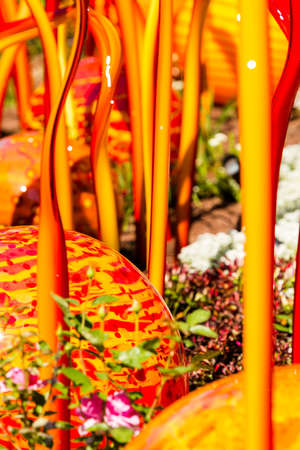Denver, Colorado, USA-August 12, 2014. Large glass sculptures by Dale Chihuly in the garden.のeditorial素材