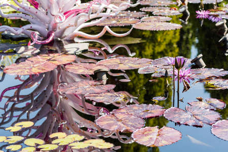 Denver, Colorado, USA-August 12, 2014. Large glass sculptures by Dale Chihuly in the garden.のeditorial素材