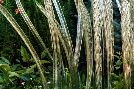 Denver, Colorado, USA-August 12, 2014. Large glass sculptures by Dale Chihuly in the garden.のeditorial素材