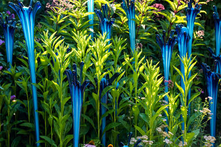 Denver, Colorado, USA-August 12, 2014. Large glass sculptures by Dale Chihuly in the garden.のeditorial素材