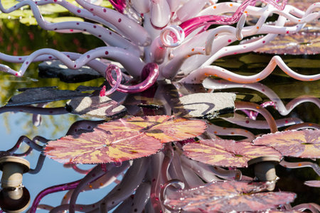 Denver, Colorado, USA-August 12, 2014. Large glass sculptures by Dale Chihuly in the garden.のeditorial素材