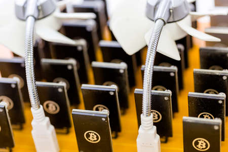Row of USB bitcoin miners plugged into large USB board.の写真素材