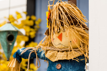 Large scarecrow handmade for Halloween.の写真素材