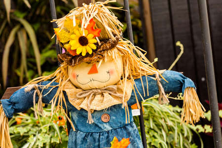 Large scarecrow handmade for Halloween.の写真素材
