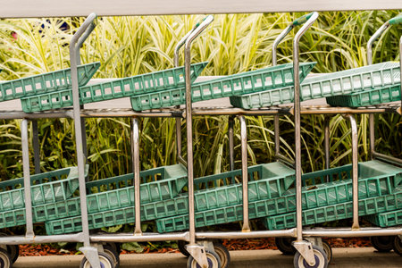 Large green shopping cart in a row.の写真素材