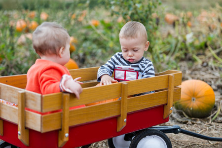 Choosing a pumpkin at a pumpkin patch on Fall day.の写真素材