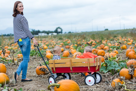 Choosing a pumpkin at a pumpkin patch on Fall day.
