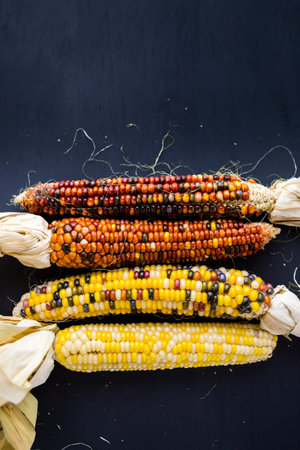 Multi colored indian corn made for Thanksgiving decoration.