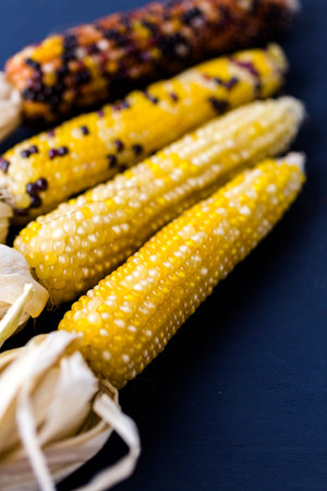 Multi colored indian corn made for Thanksgiving decoration.