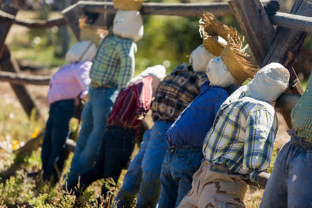 Handmade scarecrow for Halloween decoration on old farm.の写真素材