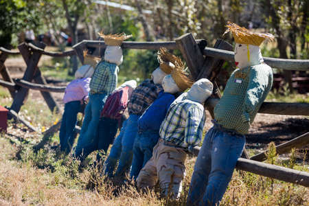 Handmade scarecrow for Halloween decoration on old farm.の写真素材