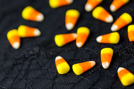 Chocolate Halloween cupcakes with white buttercreme icing and chocolate shavings on top.の写真素材