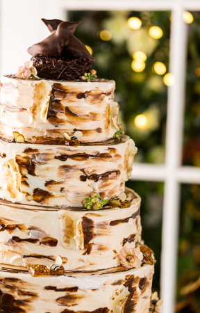 Gourmet tiered wedding cake at wedding reception.