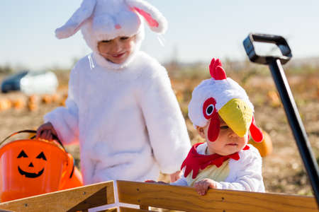 Cute kids in Halloween costumes at the pumpkin patch.の写真素材