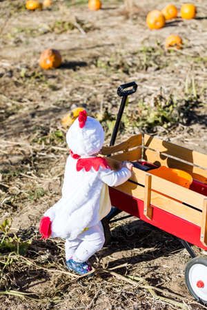 Cute kids in Halloween costumes at the pumpkin patch.の写真素材