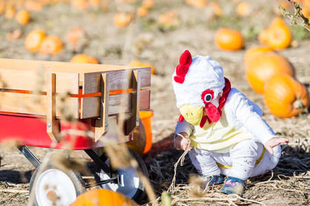 Cute kids in Halloween costumes at the pumpkin patch.の写真素材