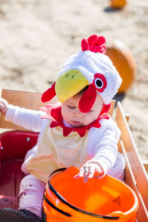 Cute kids in Halloween costumes at the pumpkin patch.の写真素材