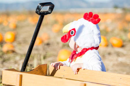 Cute kids in Halloween costumes at the pumpkin patch.の写真素材