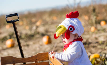 Cute kids in Halloween costumes at the pumpkin patch.の写真素材