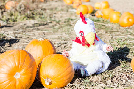 Cute kids in Halloween costumes at the pumpkin patch.の写真素材