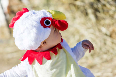 Cute kids in Halloween costumes at the petting zoo.の写真素材