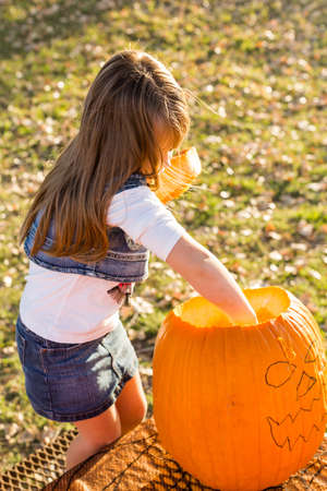 Carving big orange pumpkins for Halloween in late Autumn.の写真素材