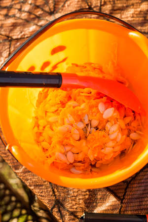 Carving big orange pumpkins for Halloween in late Autumn.の写真素材